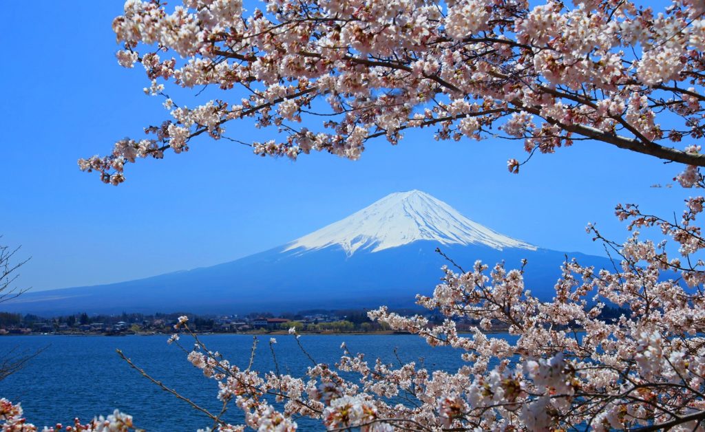 mt. fuji in japan