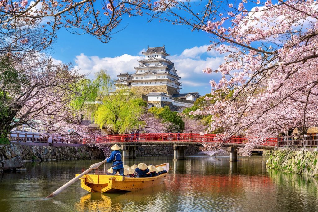 Cherry blossoms-Japan