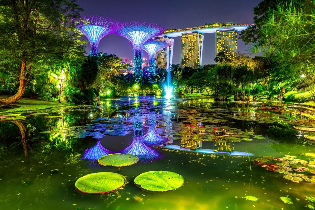 supertree grove at gardens by the bay-singapore