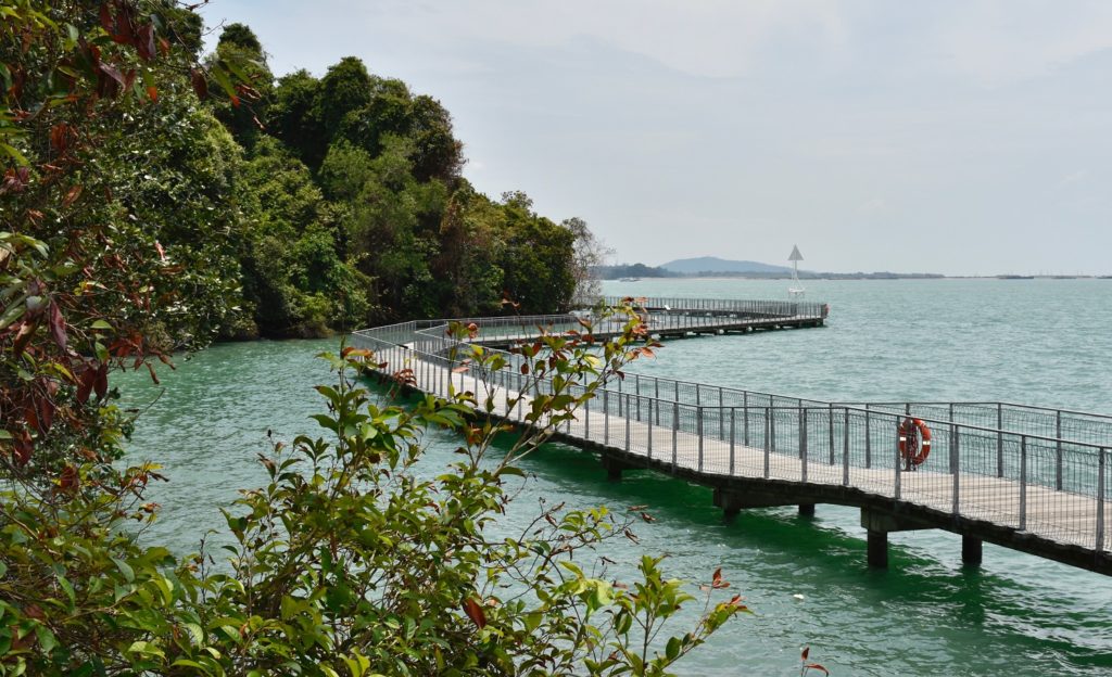 boardwalk on pulau ubin island-singapore