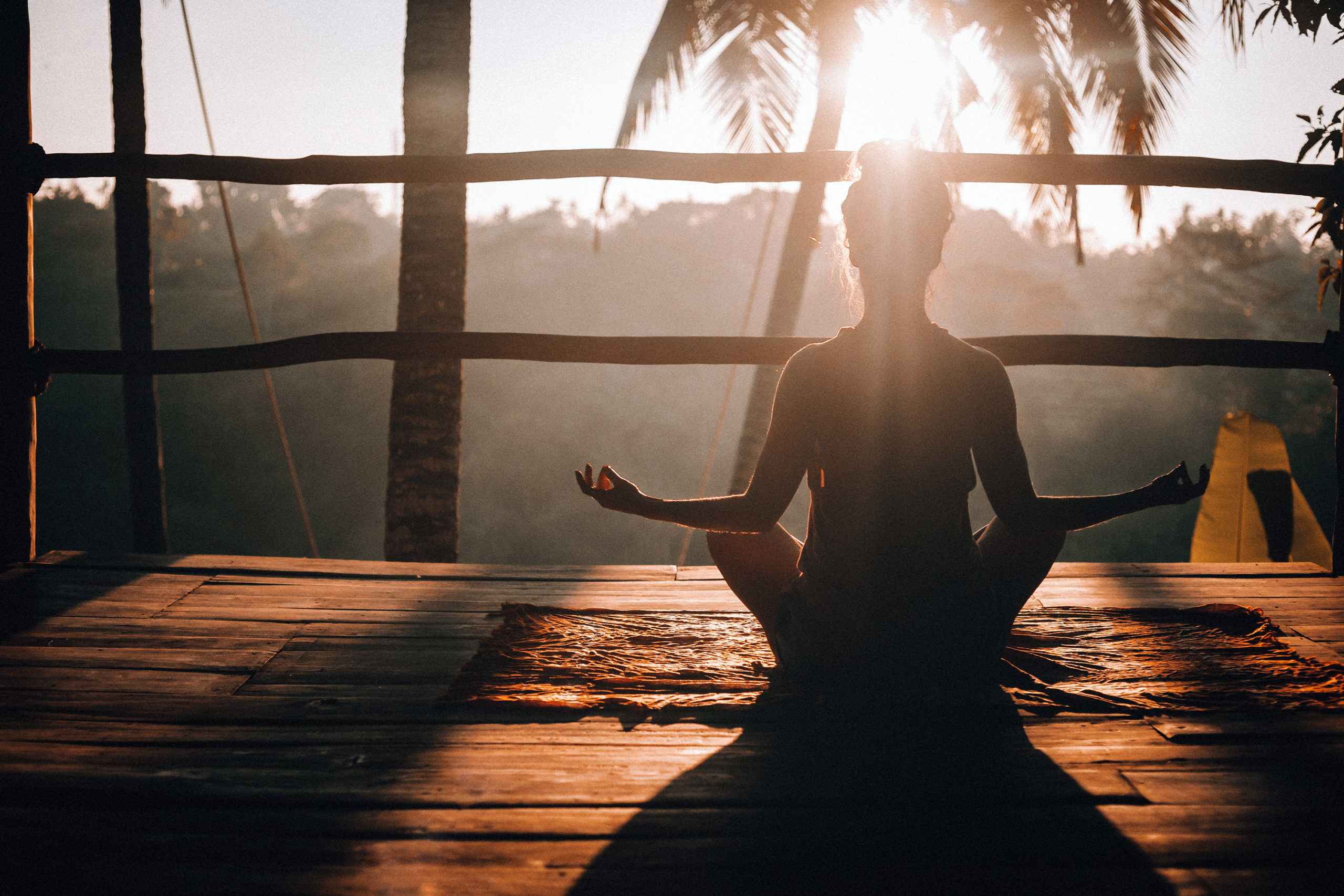 Silhouette of a woman meditating on a mat, on a wooden "balcony" with palm trees and forest in the background.