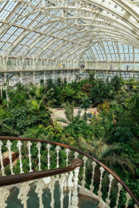 Travel agents: send your clients to see the Royal Botanical Gardens in England.