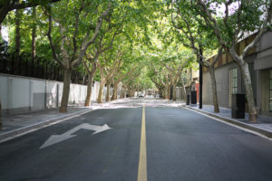 Travel to Shanghai, China and tour the FFC (former French concession)
