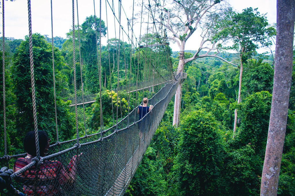 Tourists from Sky Bird Travel & Tours hike on a rope bridge over the rainforest jungle in Ghana for the top travel destination in 2023.